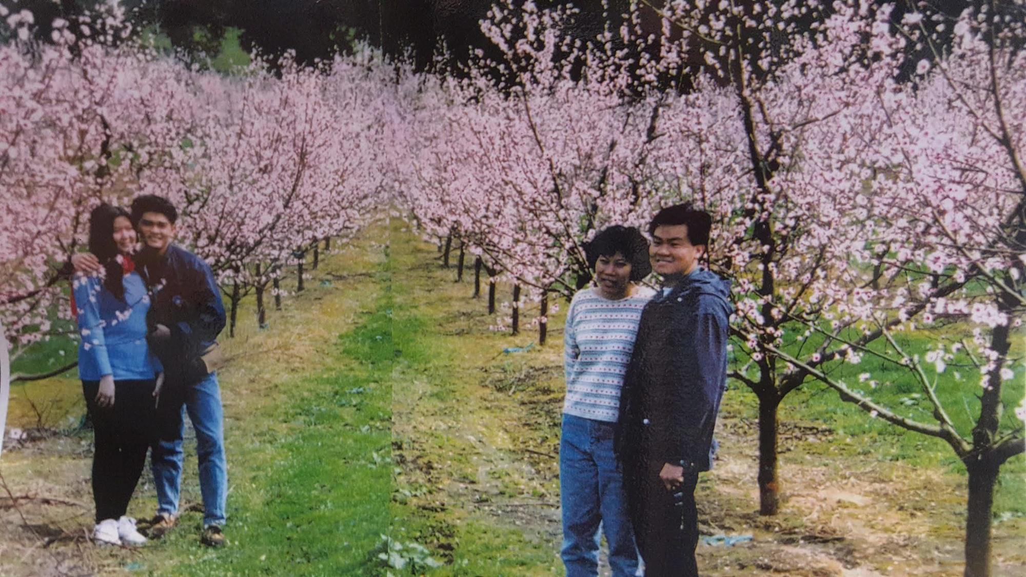 Waitomo Orchard Estate B&B Otorohanga Buitenkant foto